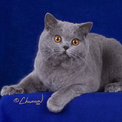 Tatiana Perry profile picture