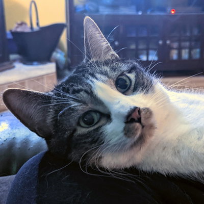Mal profile picture