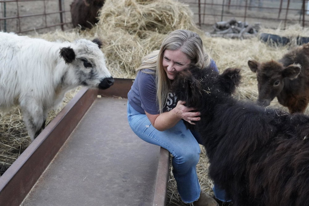 Boarding Service for purchased animals, photo 3