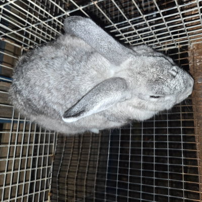 Selene profile picture