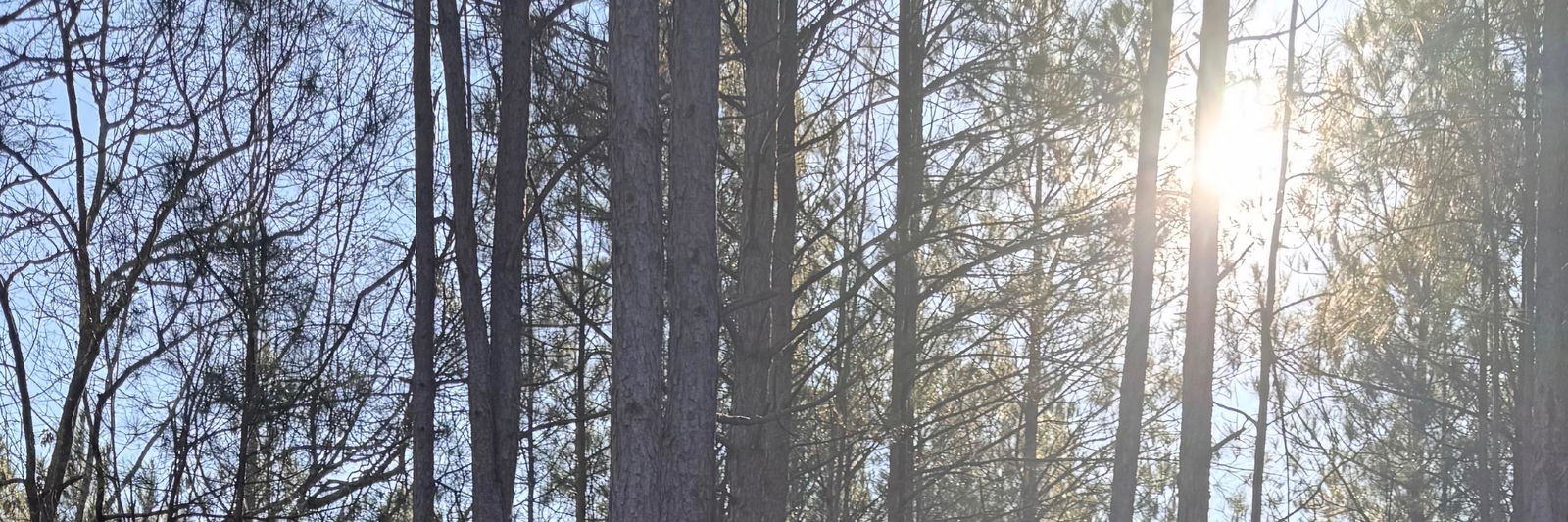 Building Futures Farmstead profile cover image