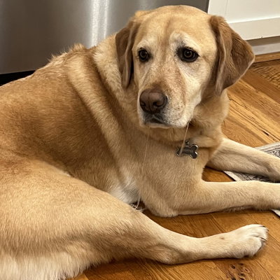 Whipper profile picture