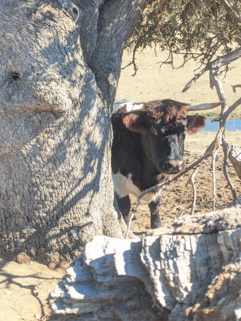 Private farm visit, photo 1