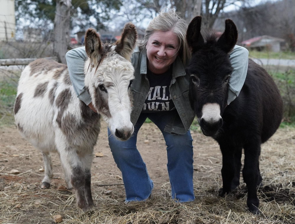 Boarding Service for purchased animals, photo 2