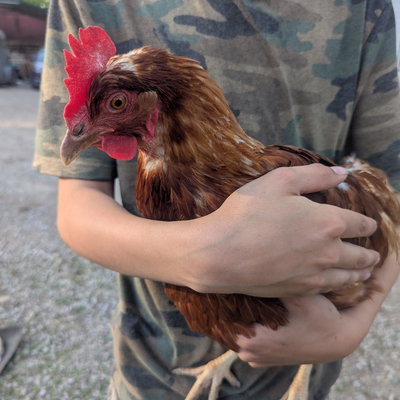 Minnie profile picture