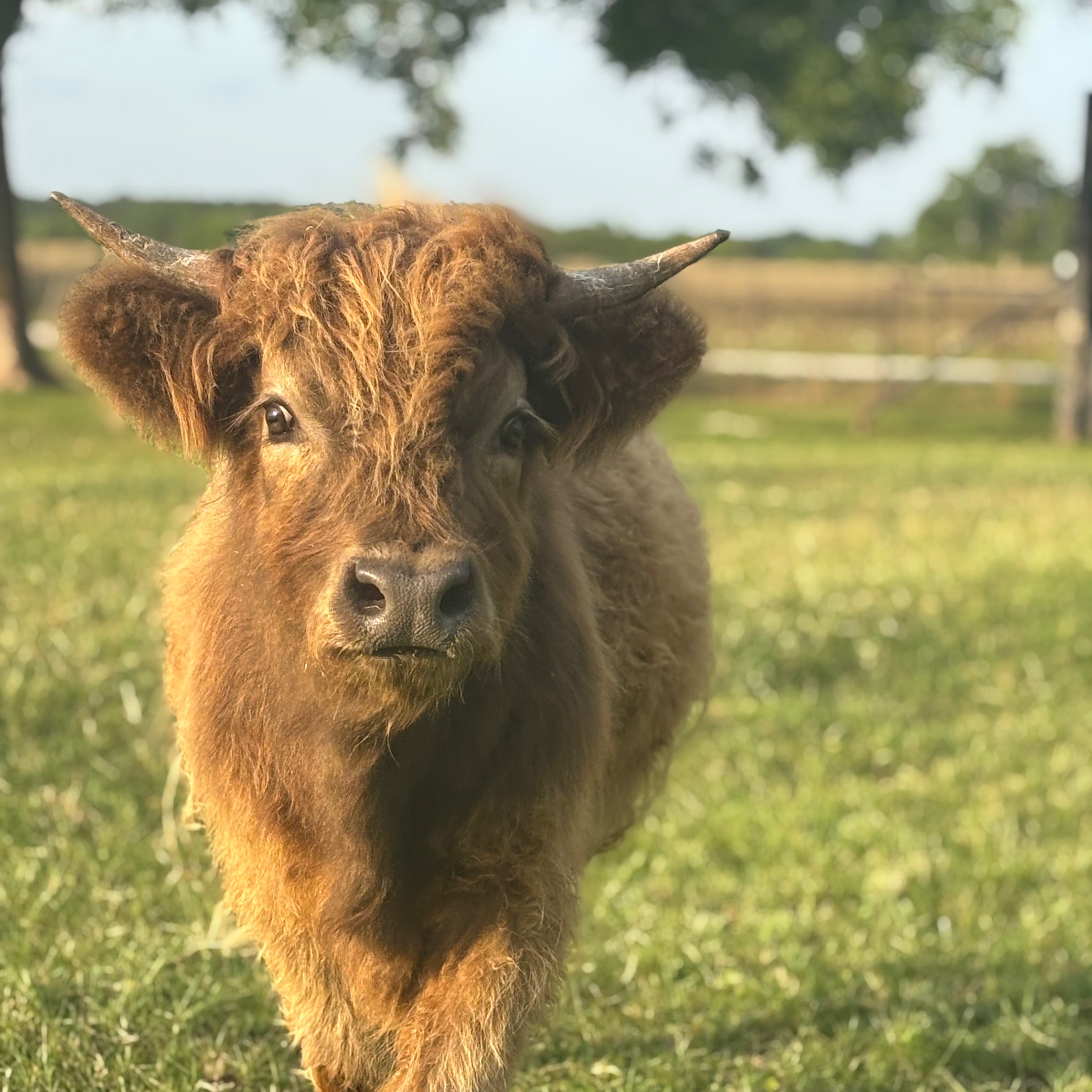 Emma Mae profile picture