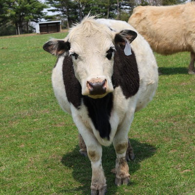 Sunny profile picture