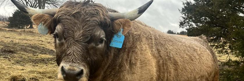 Dunn profile cover image