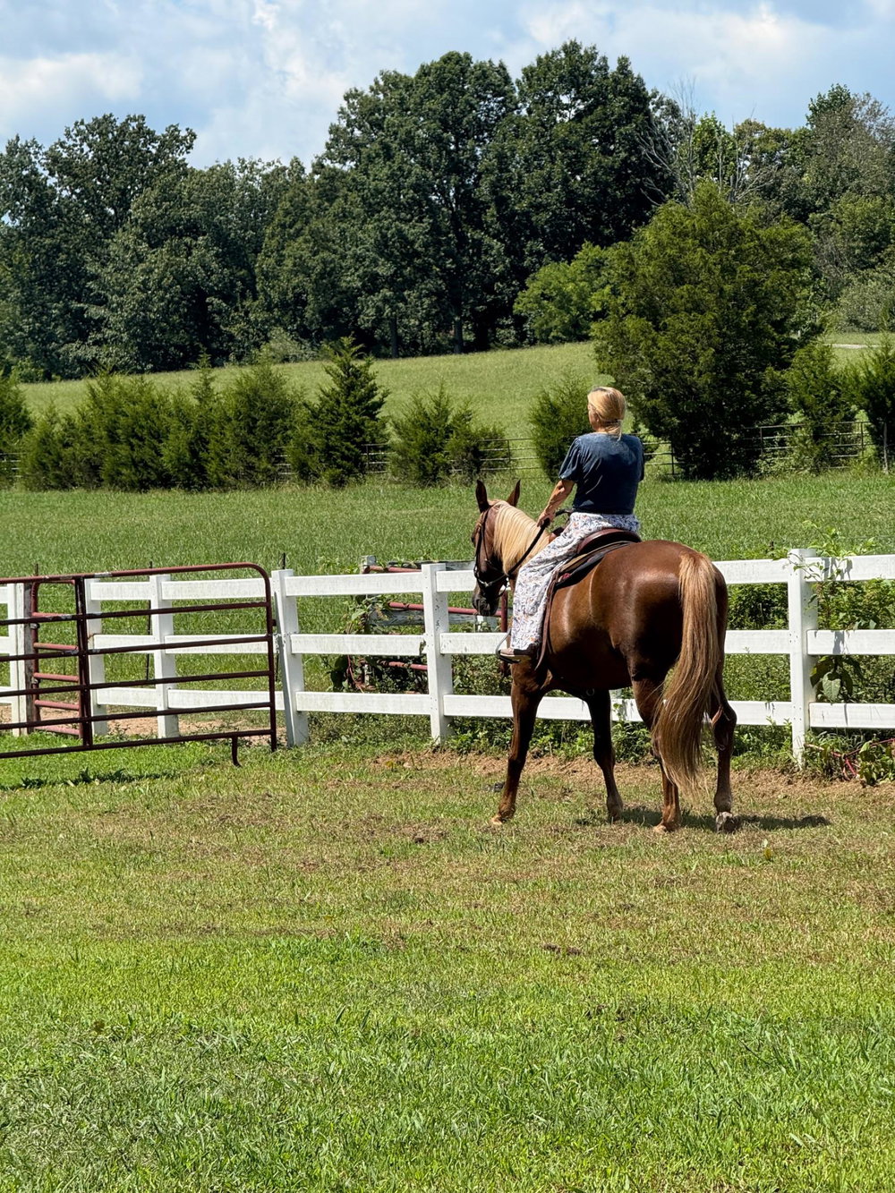 Lessons, photo 9