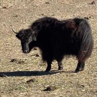 Sassy Lady profile picture