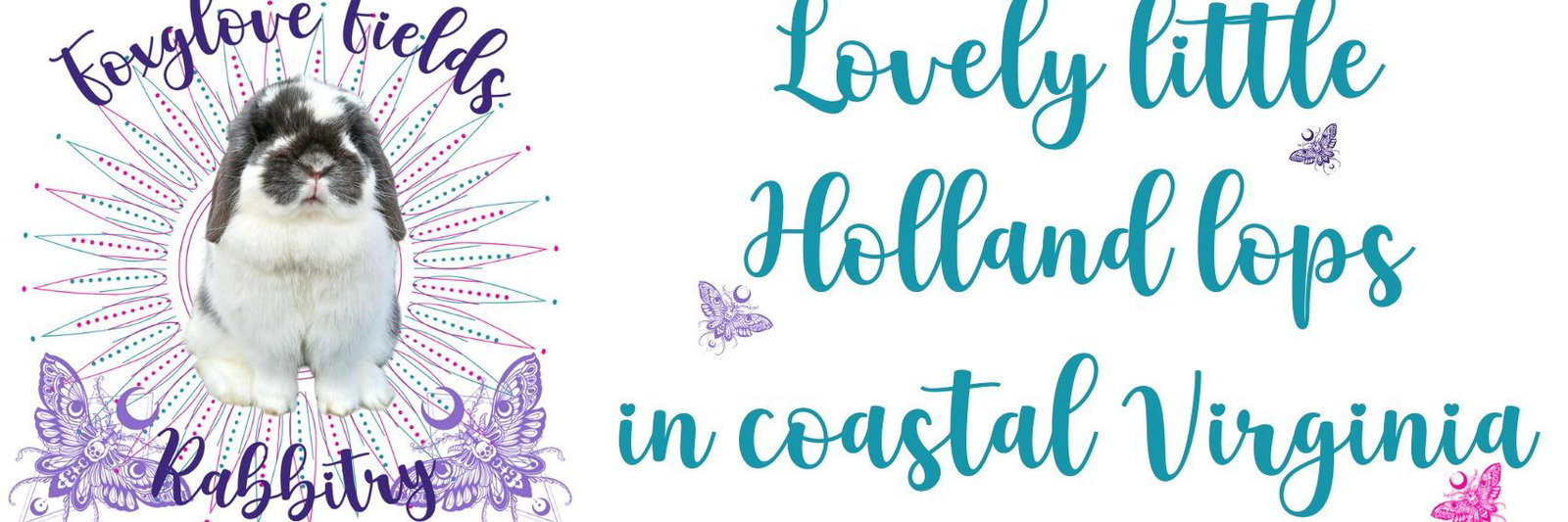 Foxglove Fields profile cover image