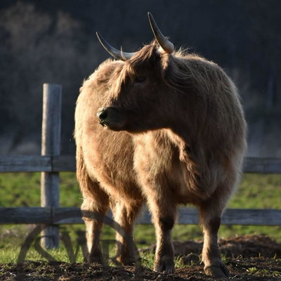 MP'S Beth profile picture