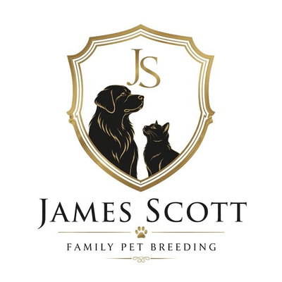 James Scott profile picture
