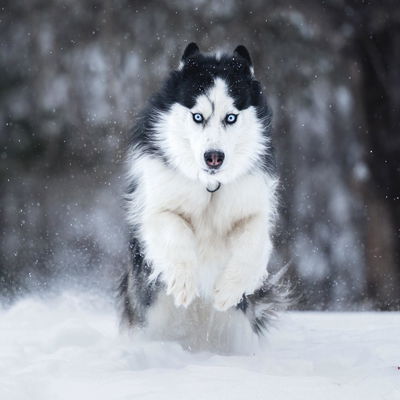 Roxanne (Roxy) profile picture