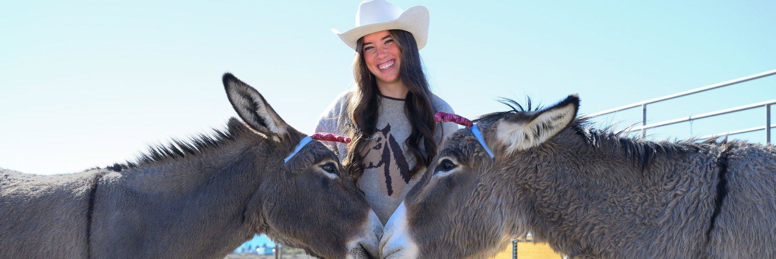 Donkeys of Pahrump profile cover image