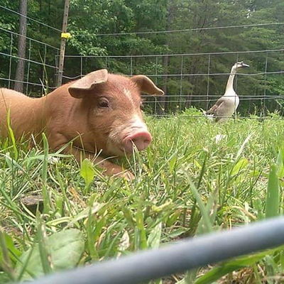 Hayley Jolly profile picture