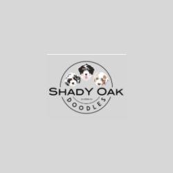 Shady Oak Doodles profile picture