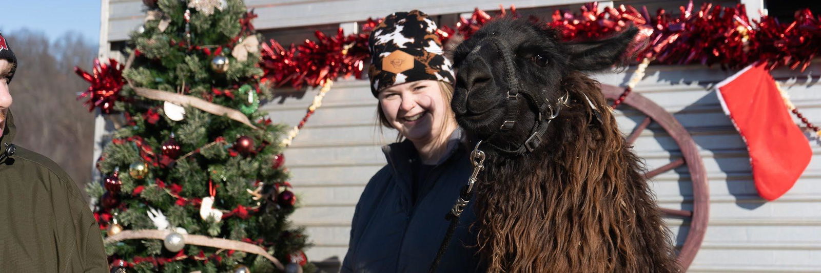 PPWI Ezalea profile cover image