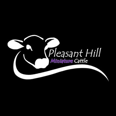 Pleasanthill Miniature Cattle profile picture