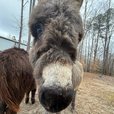 Otis profile picture