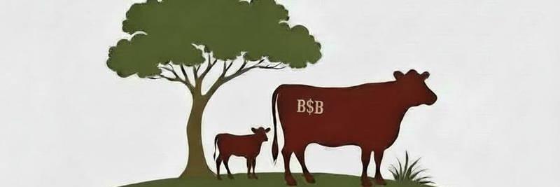 Baker Beef profile cover image
