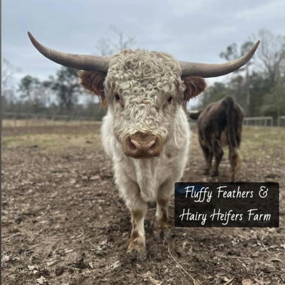 Marty profile picture