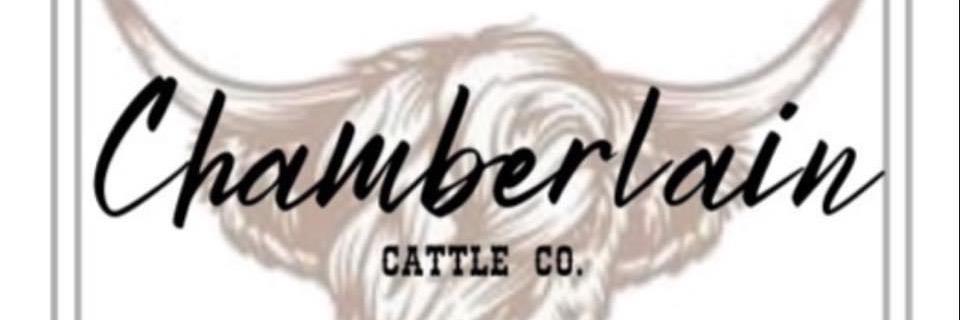 Mack Chamberlain profile cover image