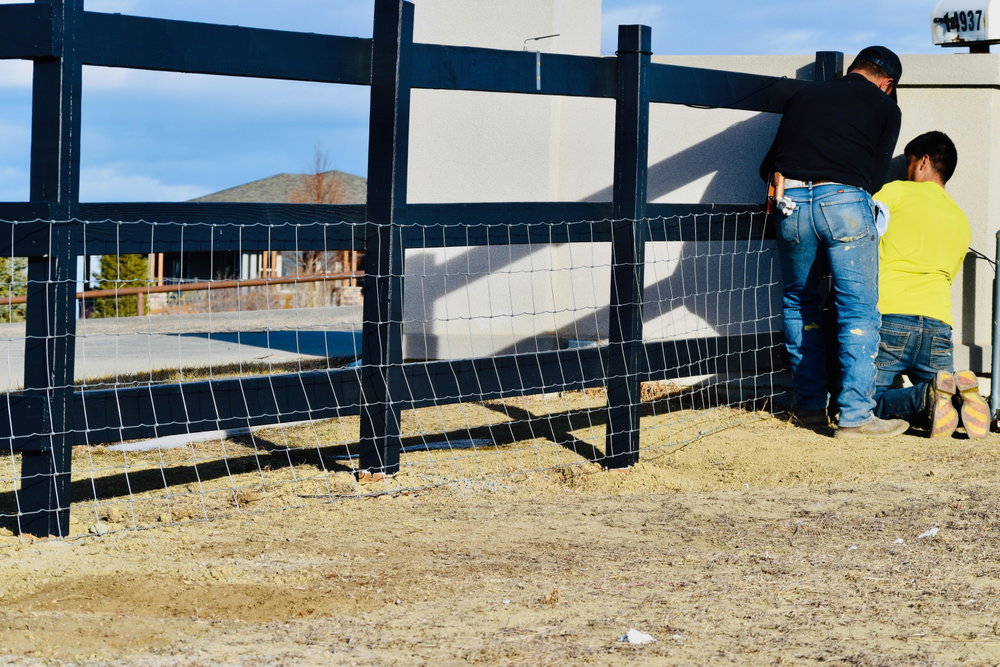 Colorado Cattle Boarding, photo 4