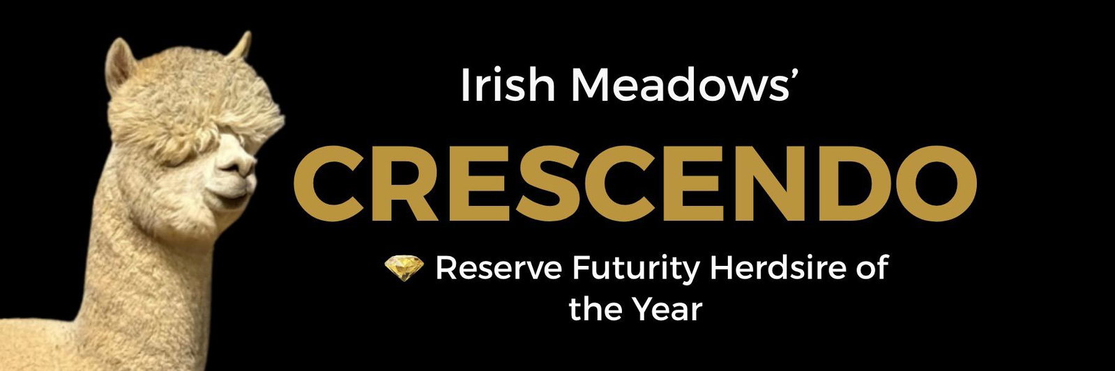 Irish Meadows' Crescendo profile cover image