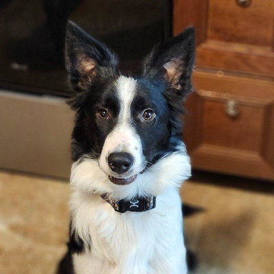 River profile picture