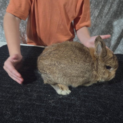 Gus profile picture