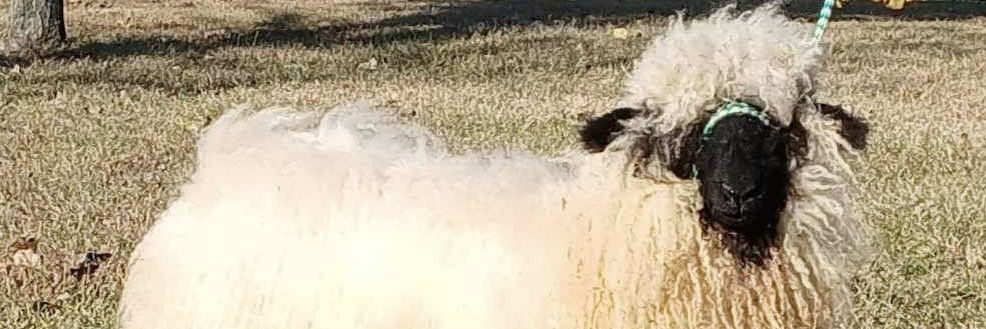 Brett Snead profile cover image