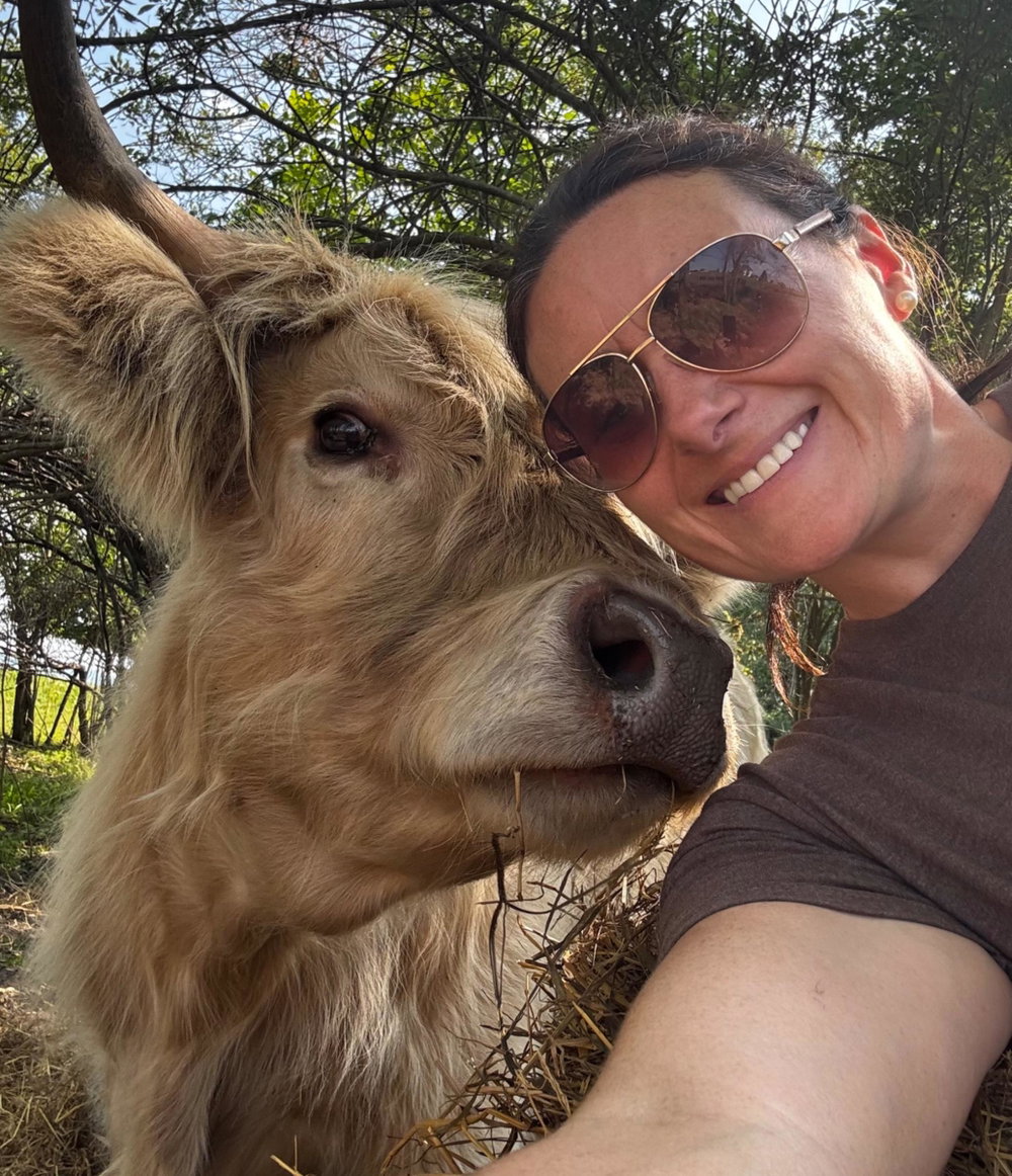 Cow Cuddle Day, photo 8