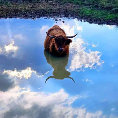 Aspen profile picture