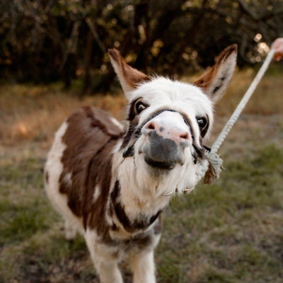 Kaity Haas profile picture