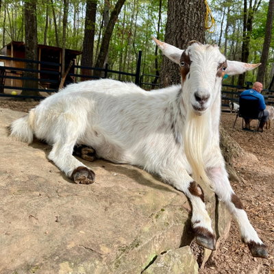 Buddy profile picture