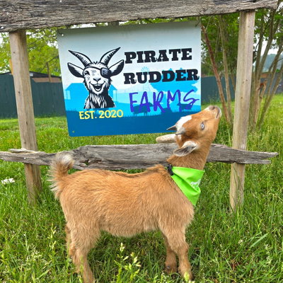 Pirate Rudder Farms profile picture
