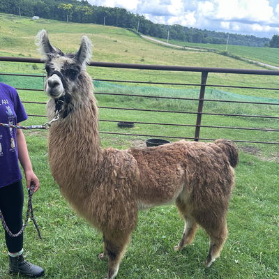 PPWI Eddie Vedder profile picture