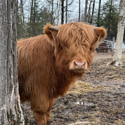 Blanche profile picture