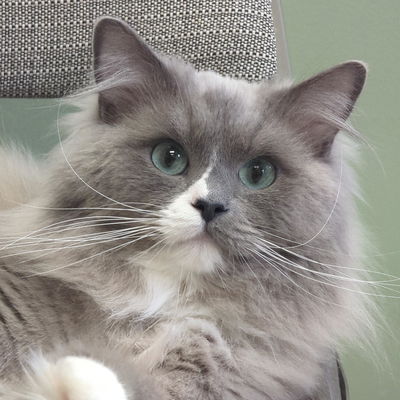 Untiloneday profile picture