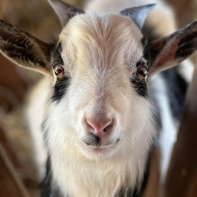 Theo profile picture