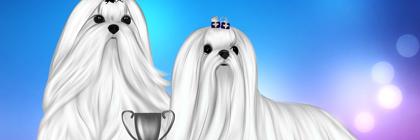 Platinum Dunes Maltese Kennel profile cover image