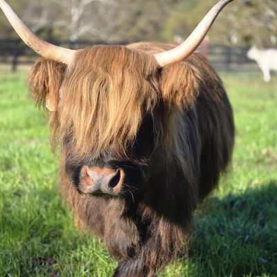 Allene Wiley profile picture