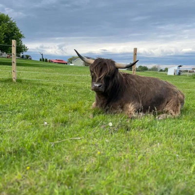 Abraham profile picture
