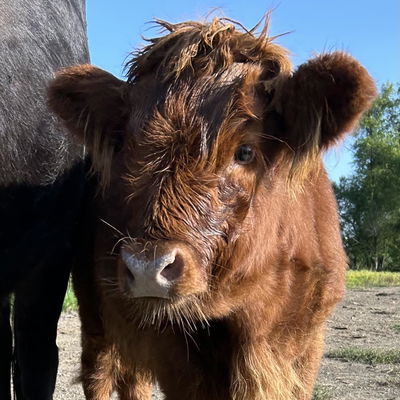 KindaSmallCoos profile picture