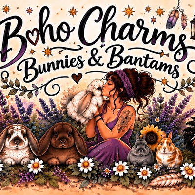 Boho Charms profile picture