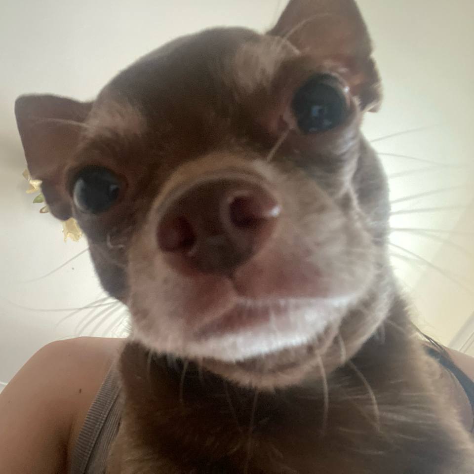 Lucky profile picture