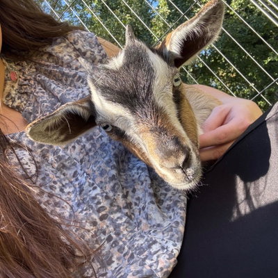 Layla profile picture