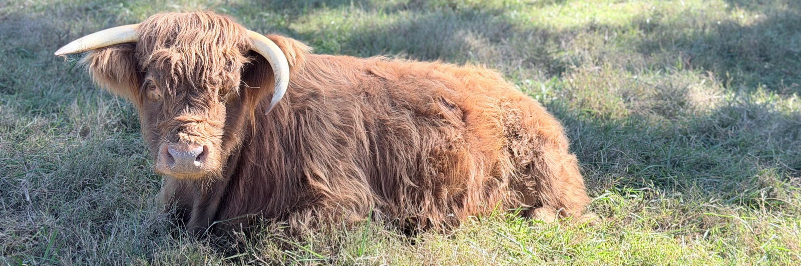 Winnie profile cover image