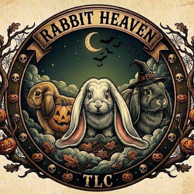 Rabbit Heaven TLC profile picture